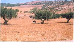 TABIA 2002 ROUTE DE CHANZY